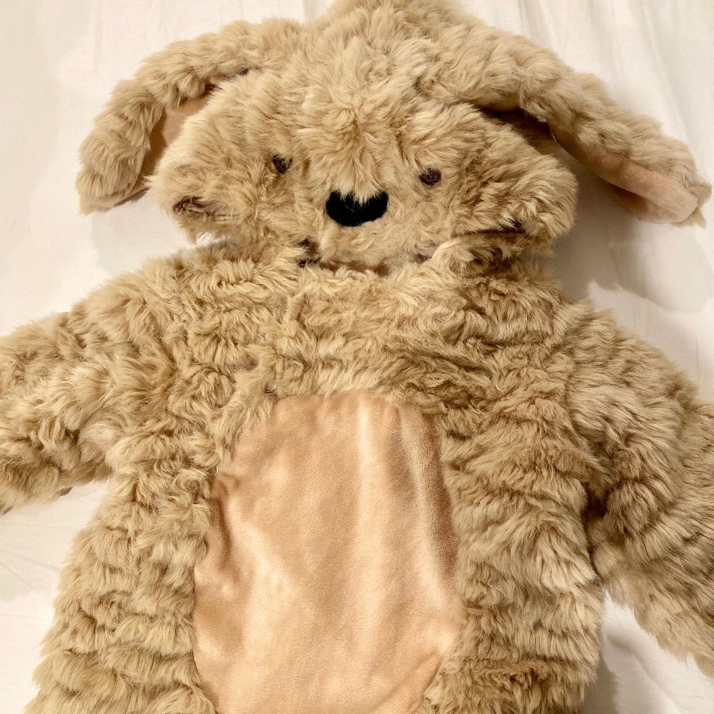 Pottery Barn Dog Baby Costume